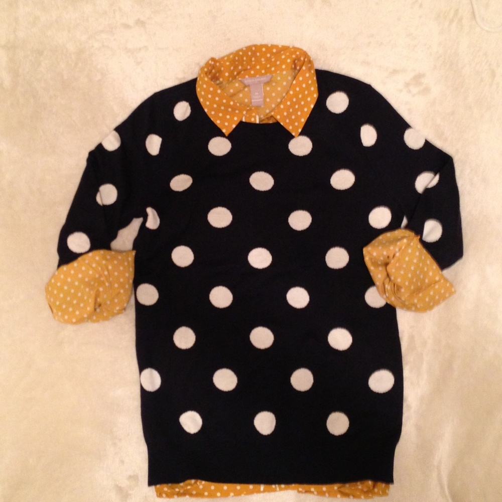 Banana Republic Polka Dot Blouse